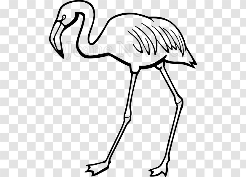 Line Art Black And White Clip - Bird - Flamingos Transparent PNG
