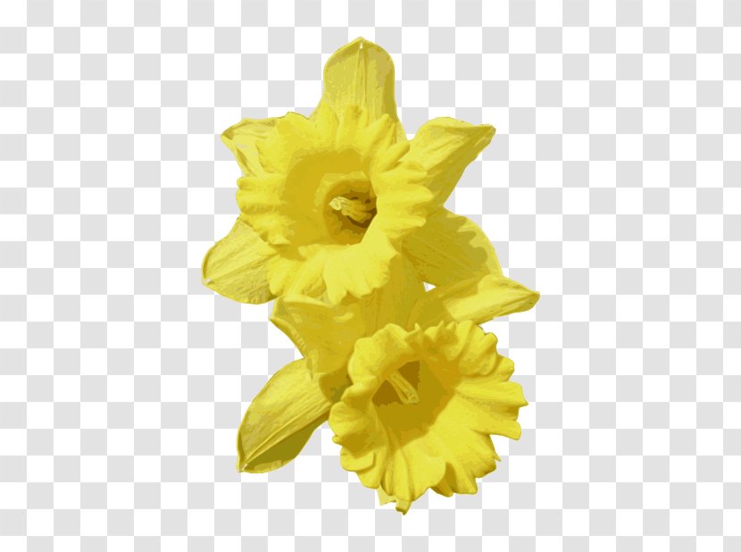 Daffodil Clip Art - Yellow - Daffodils Pictures Transparent PNG
