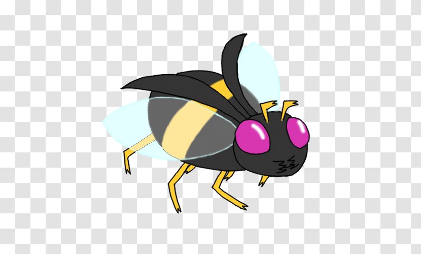 Beetle Pollinator Animal Clip Art - Buzz Transparent PNG
