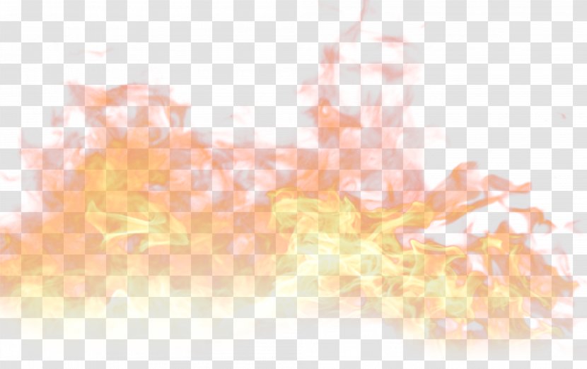 Text Graphic Design Illustration - Peach - Fire Elemental Transparent PNG