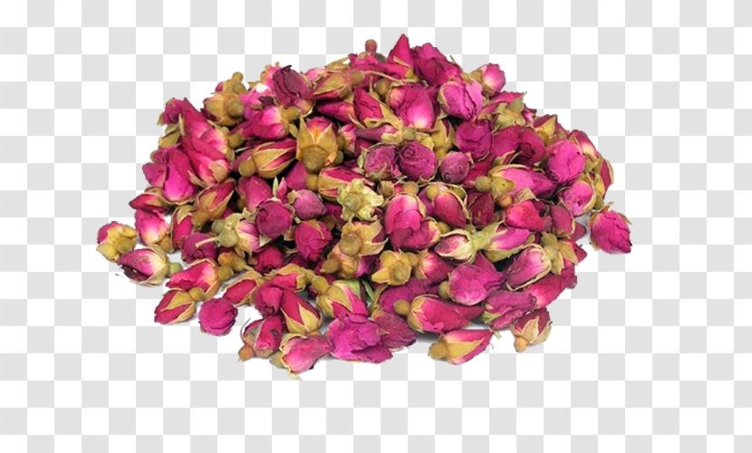Flowering Tea Beach Rose Drying - Alstroemeriaceae Transparent PNG