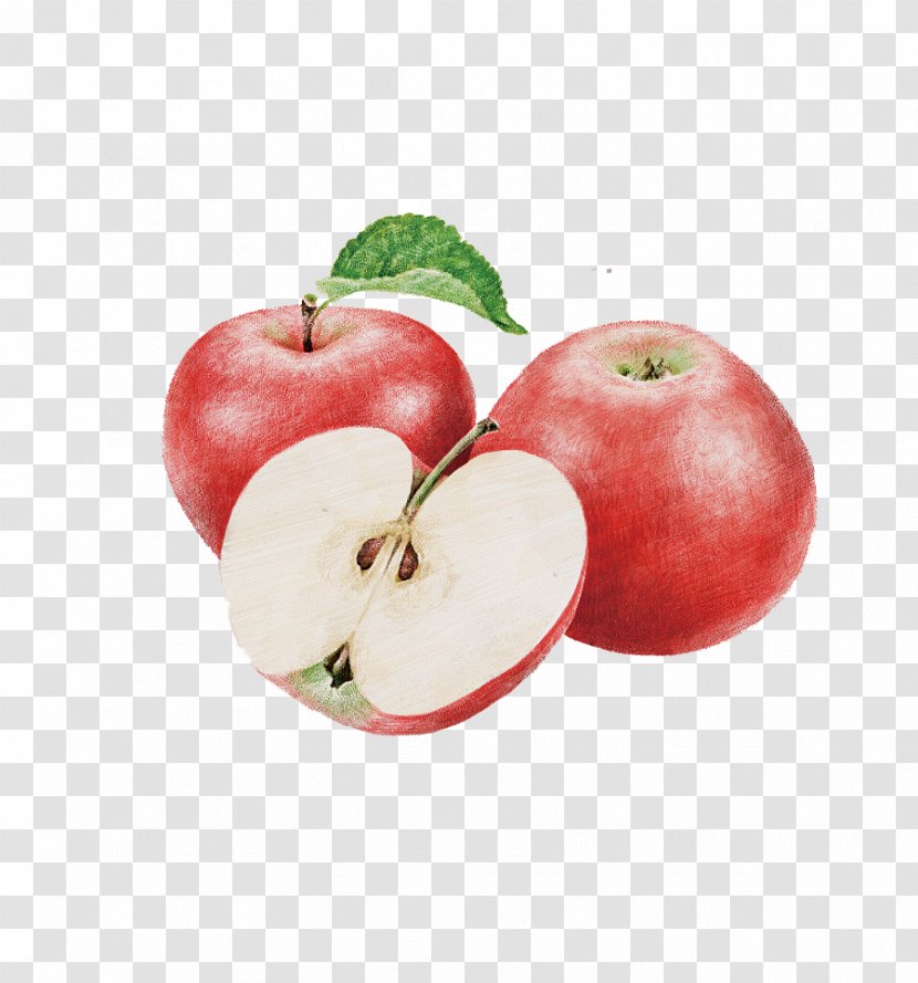 Nutrient Uterine Fibroid Food Healthy Diet - Uterus - Painted Apple Transparent PNG