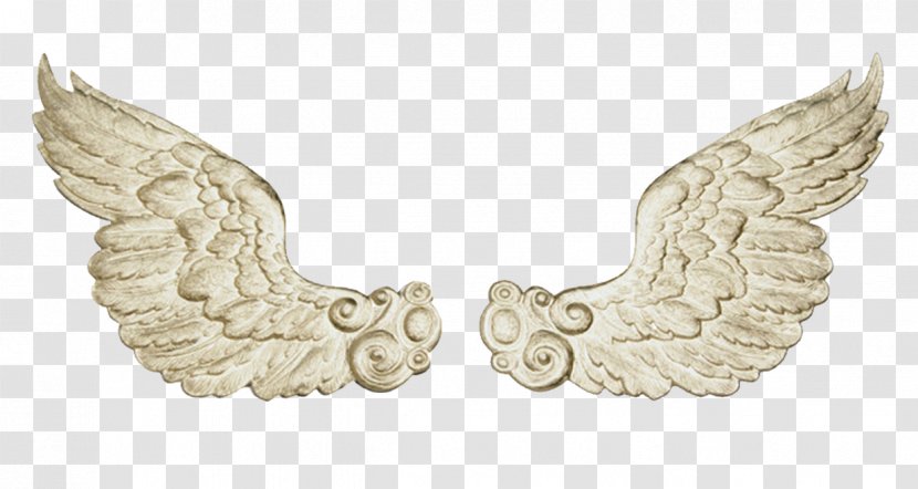 Wing Animation Angel Picture Frame Clip Art - World Wide Web - Stone Wings Transparent PNG