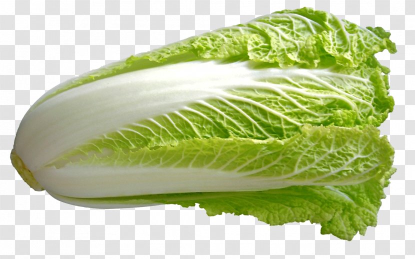 Chinese Cuisine Cabbage Vegetable Napa - Lettuce Transparent PNG