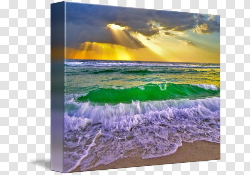 Painting Art Shore Sea Imagekind - Sunset Transparent PNG