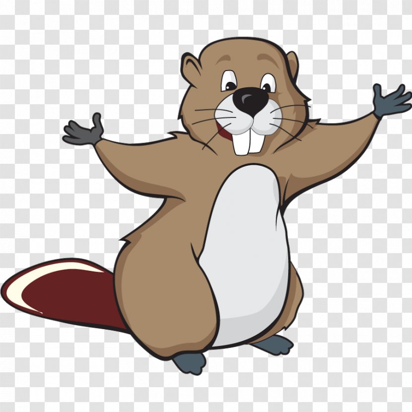 Beaver Cartoon Clip Art - Rodent Transparent PNG