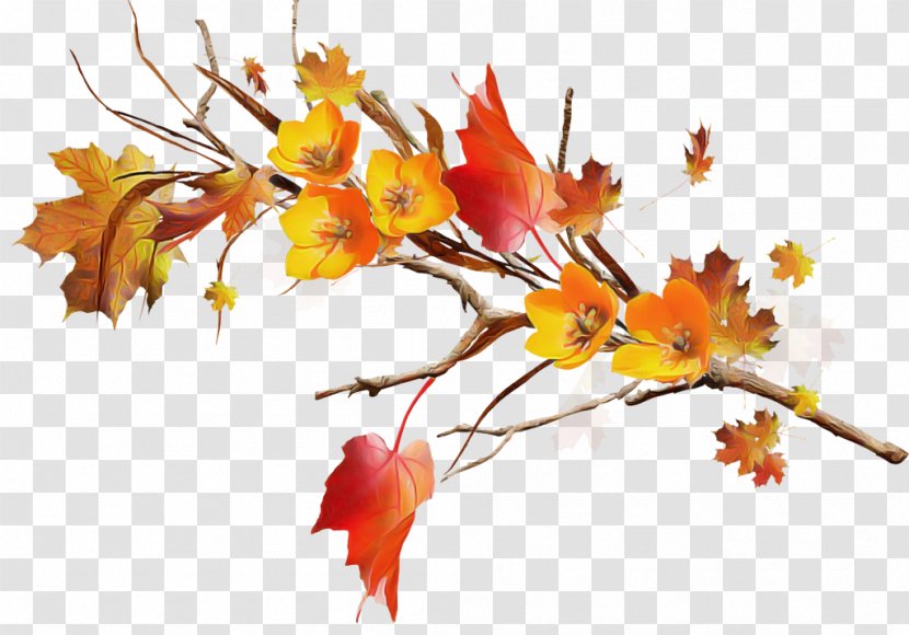 Leaf Tree Branch Plant Flower - Woody - Maple Transparent PNG