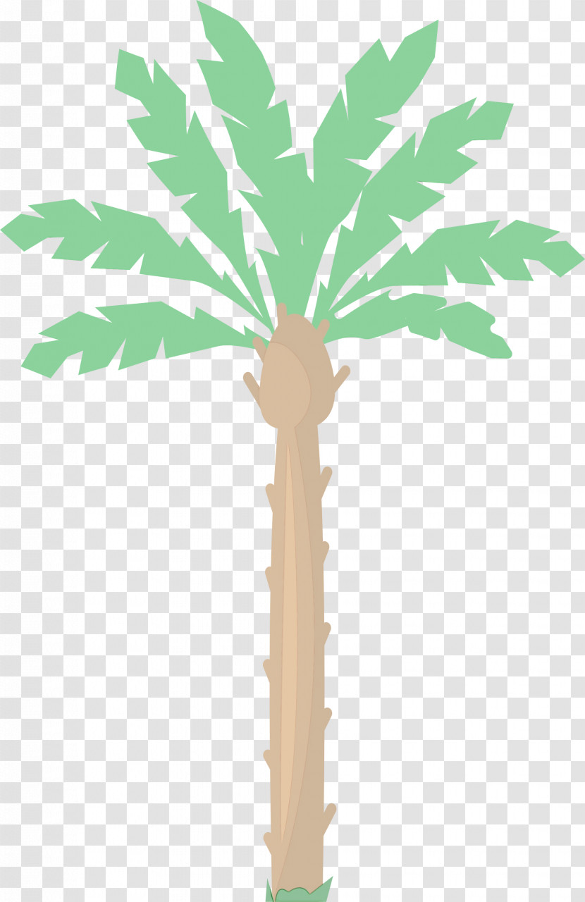 Asian Palmyra Palm Plant Stem Leaf Date Palm Flowerpot Transparent PNG