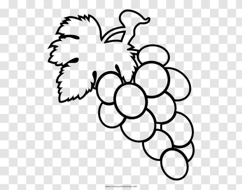 Grape Coloring Book Drawing Fruit Transparent PNG