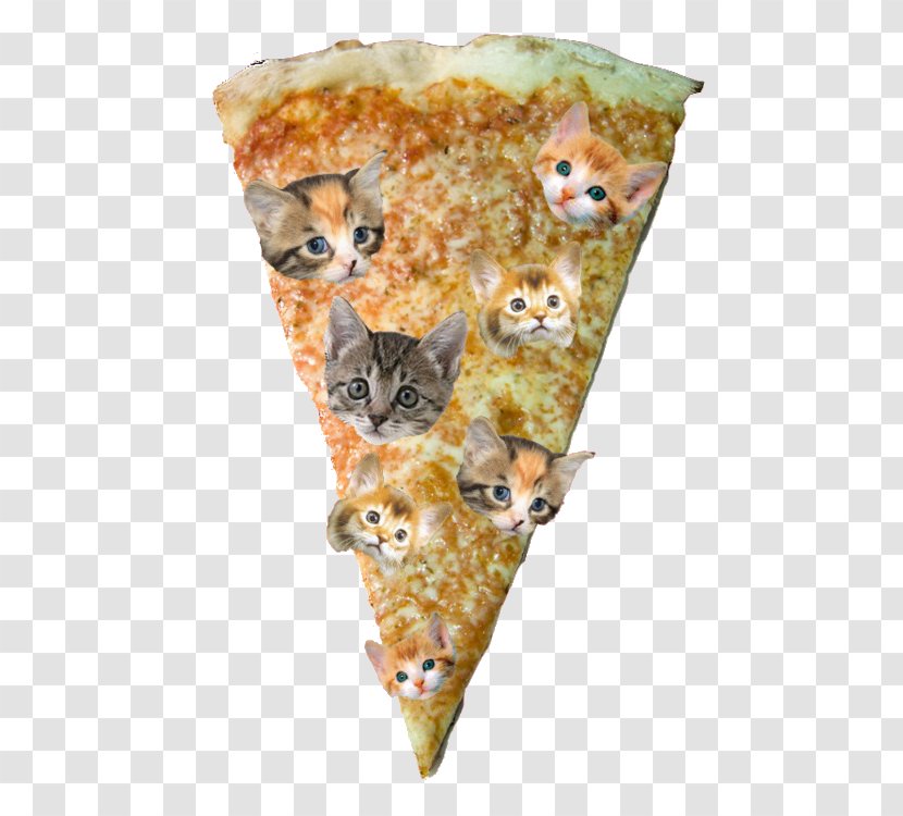 Pizza Hut Cat Kitten - Sas Fra Ma Pizz - Slice Of Transparent PNG