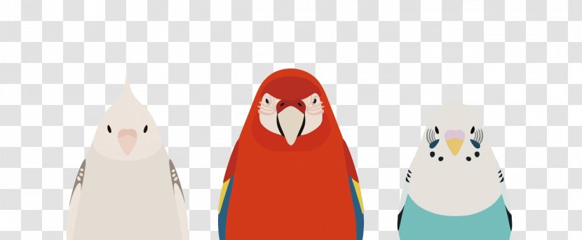 Parrot Penguin Clip Art - Hand - Vector Three Parrots Transparent PNG