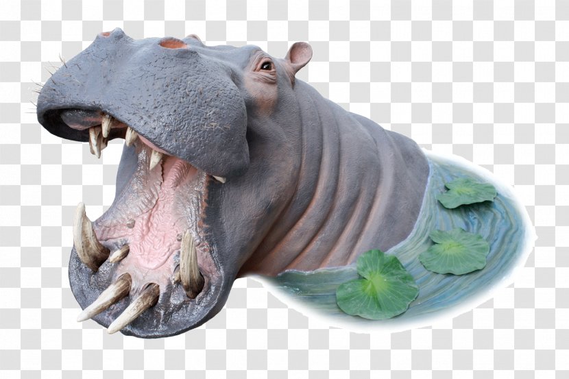 Hippopotamus Snout Animal Figurine Organism - Hippo Transparent PNG