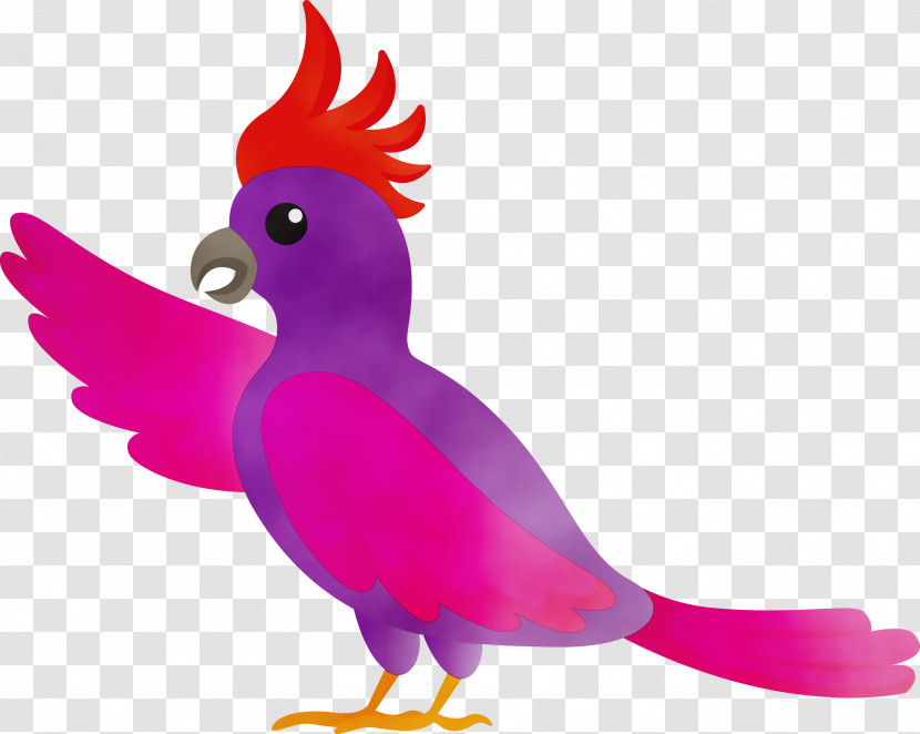 Birds Rooster Beak Duck Chicken Transparent PNG