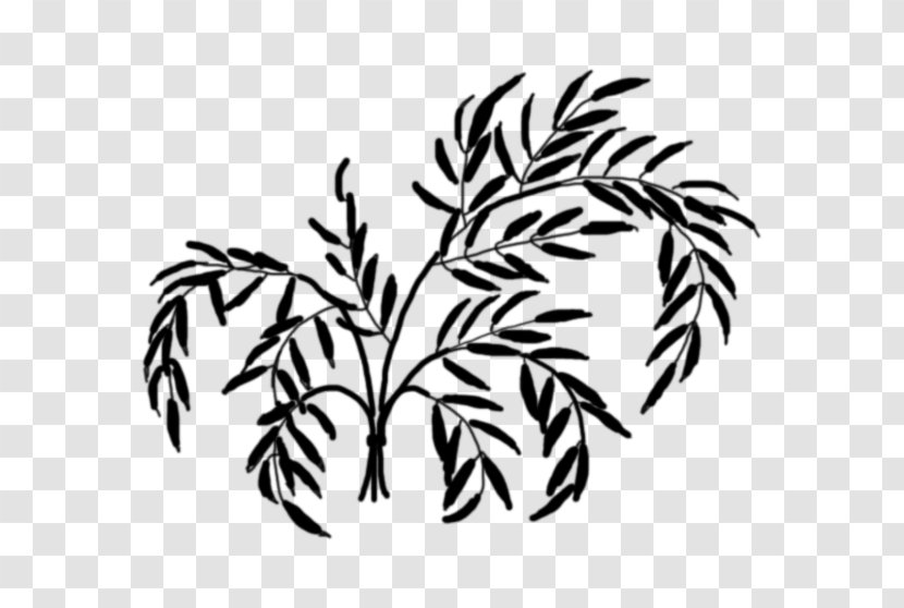 Flower Plant Stem Leaf Pattern Commodity - Line Art - Grass Transparent PNG