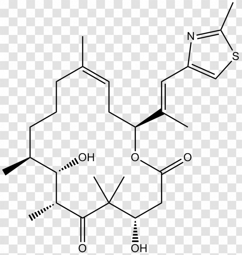Epothilone Microtubule Tubulin Enzyme Inhibitor Pharmaceutical Drug - Polyketide Transparent PNG