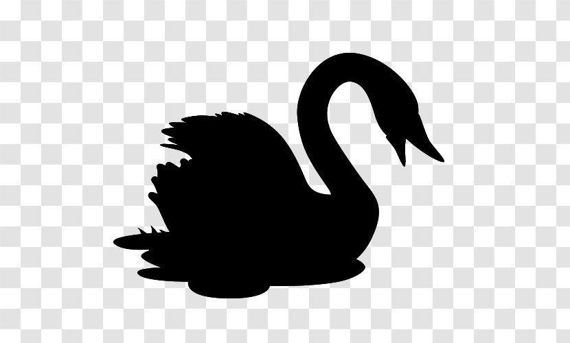 Duck Goose Swans Clip Art Fauna - Wing Transparent PNG