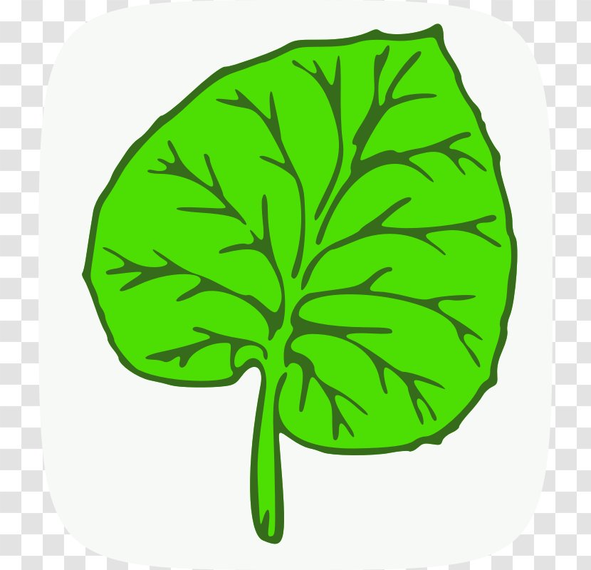 Maple Leaf Green Clip Art - Guayu Transparent PNG