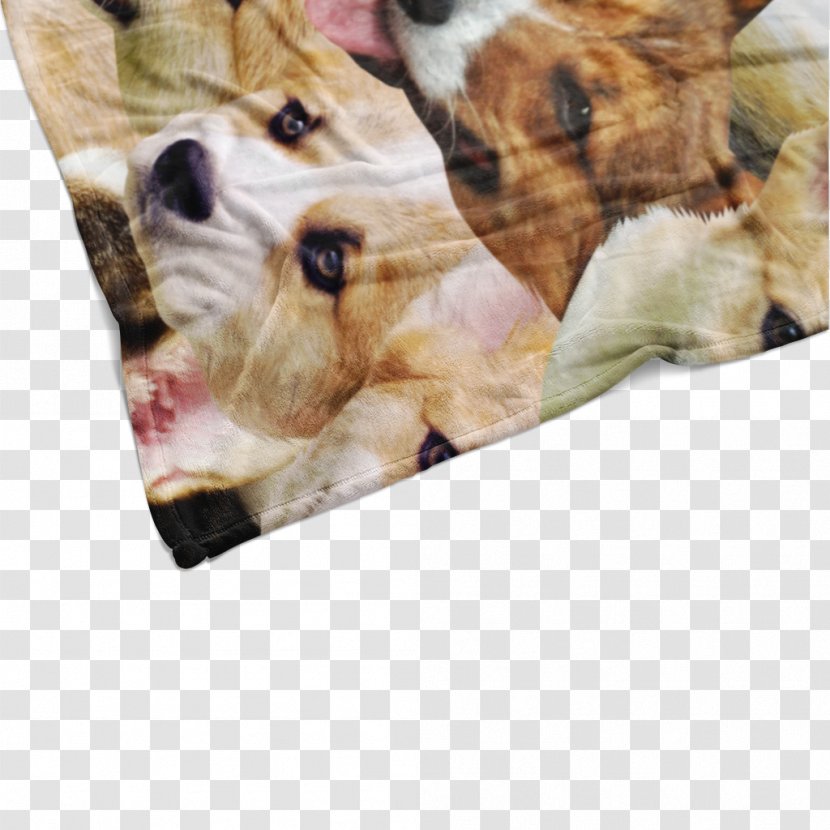 Dog Breed Puppy Love Sporting Group Transparent PNG