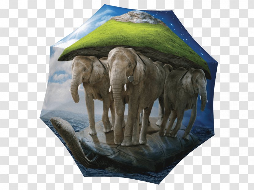 Indian Elephant La Bella Umbrella African World Turtle - Heart Transparent PNG