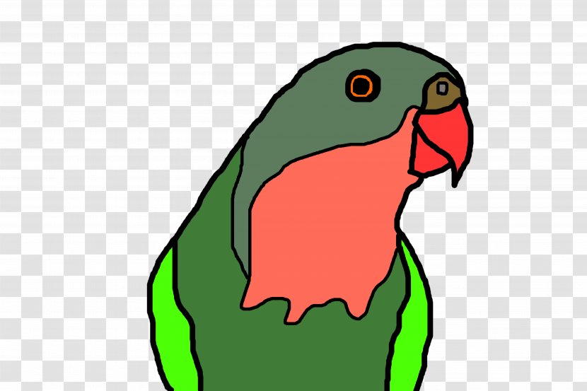 Macaw Clip Art Parrot Illustration Fauna - Vertebrate Transparent PNG