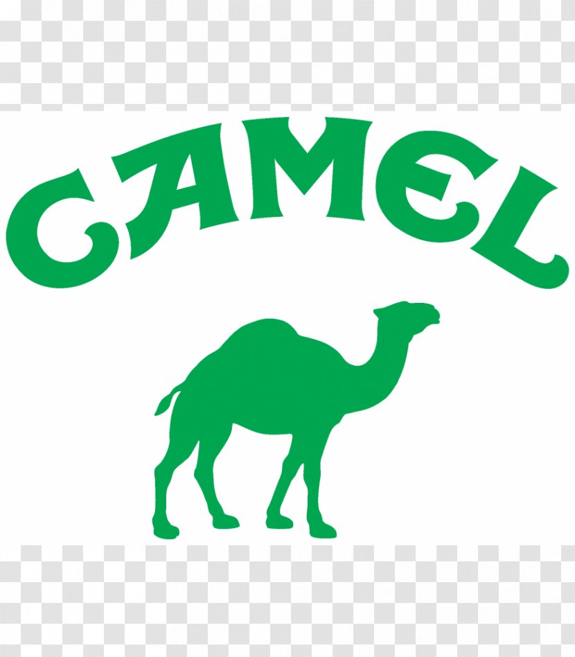 Mammal Carnivora Formula 1 Camel Horse - Area - Logo Transparent PNG