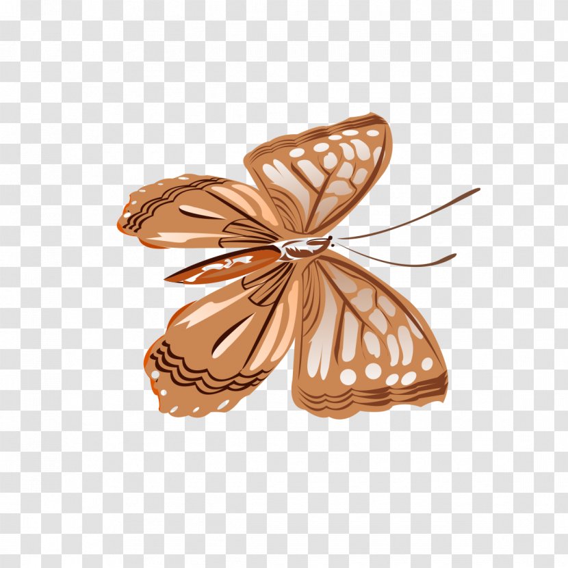 Butterfly Brown - Invertebrate Transparent PNG