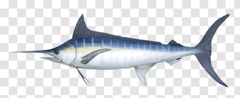 Swordfish Marlin Fishing Shark - Cartilaginous Fish - Deep Sea Creature Transparent PNG
