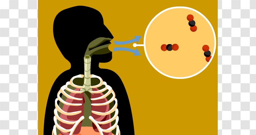 Cellular Respiration Combustion Clip Art - Silhouette - Cliparts Transparent PNG