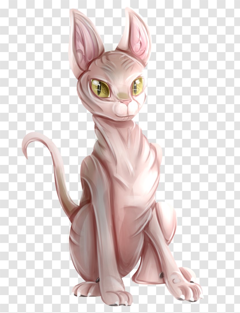 Whiskers Kitten Sphynx Cat Tabby Drawing - Like Mammal Transparent PNG