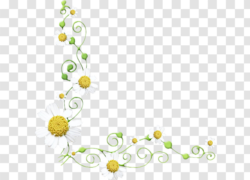 Floral Design Transparent PNG