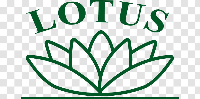 Sacred Lotus Vector Graphics Royalty-free Image Illustration - Botany - Green Transparent PNG