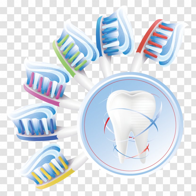 Human Tooth Dentistry Teeth Cleaning - Oral Hygiene - Toothbrush Transparent PNG