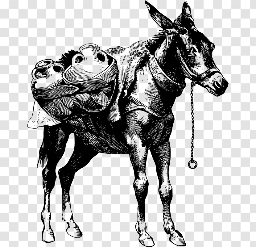 Mule Donkey Horse Stallion Clip Art Transparent PNG
