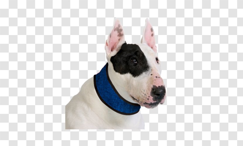 Dobermann Dog Collar Leash Pet - Bull Terrier - Cat Transparent PNG