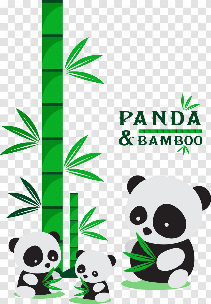 Giant Panda Green Bamboo Illustration Transparent PNG