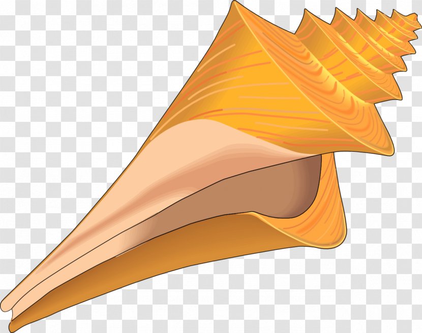 Seashell Clip Art - Wing Transparent PNG