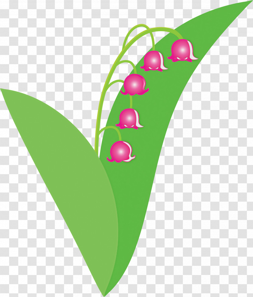 Lily Bell Flower Transparent PNG