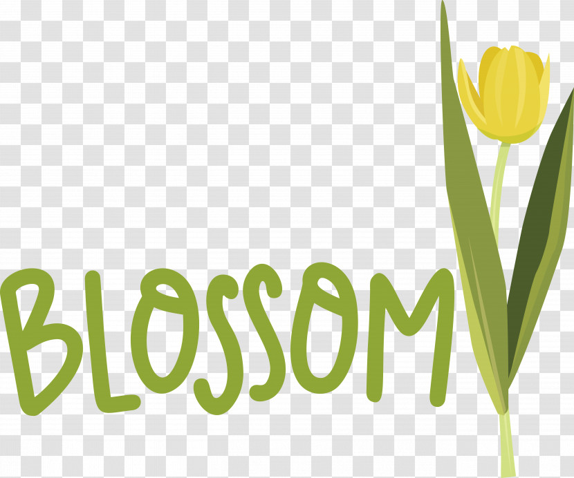 Floral Design Transparent PNG