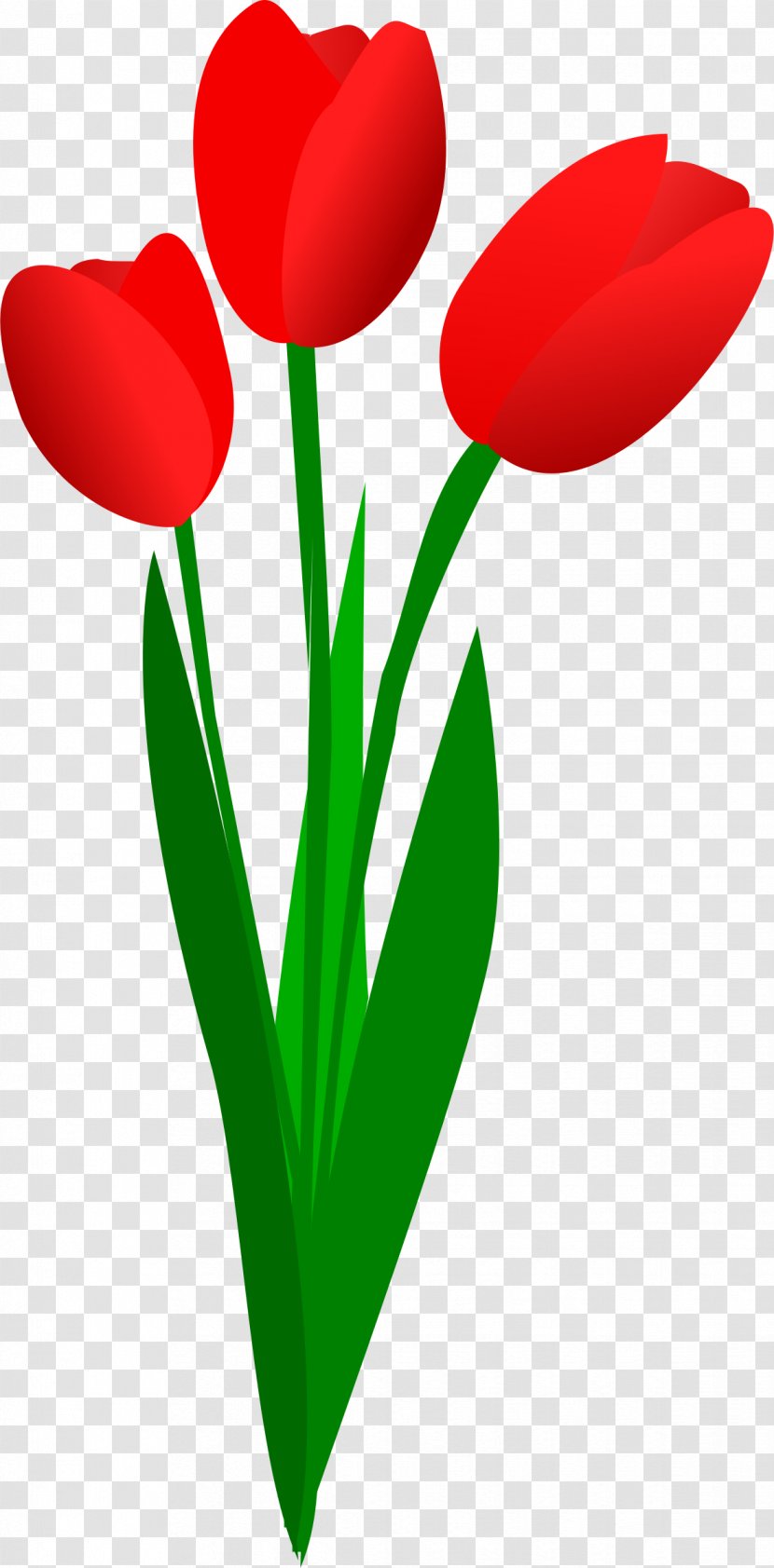 Tulip Flower Bouquet Clip Art - Red - Privacy Transparent PNG