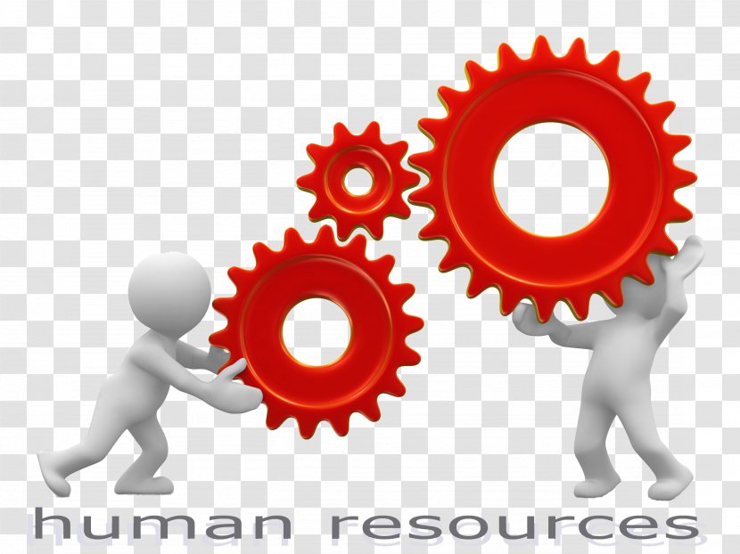 Human Resource Management Clip Art - Recruitment - C-hr Transparent PNG