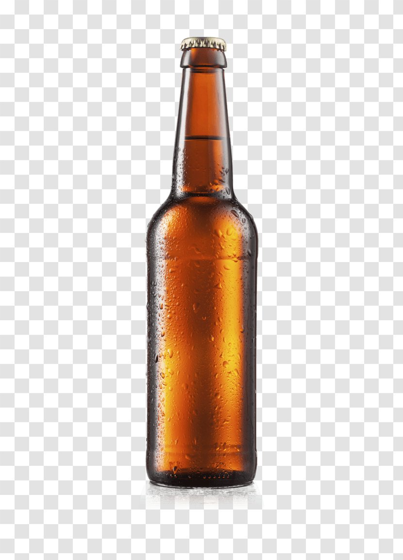 Lager Beer Brewing Grains & Malts Cider Ale - Drinkware Transparent PNG