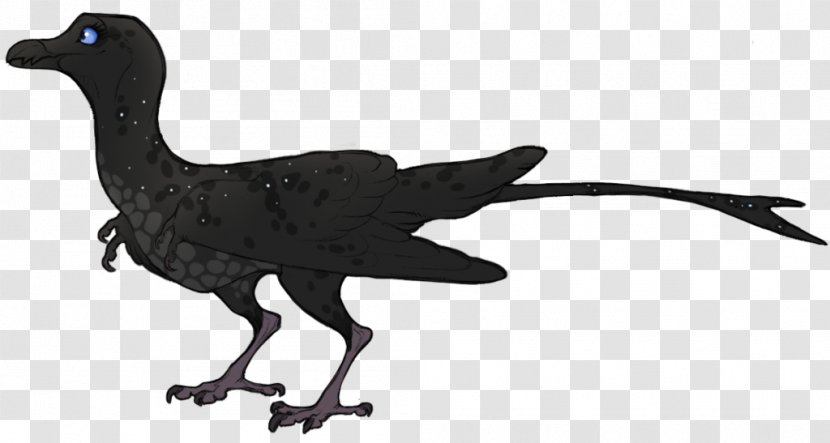Galliformes Velociraptor Bird Fauna Beak Transparent PNG