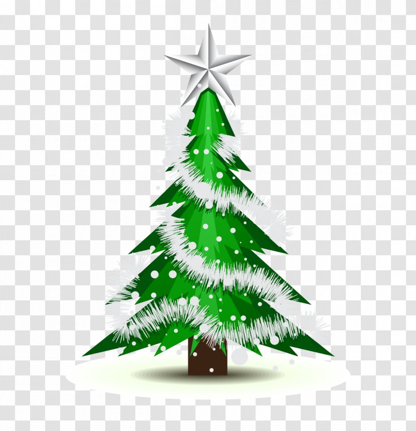 Christmas Tree Ornament Drawing - Pine Family - Green Ornaments Hanging Vector Transparent PNG