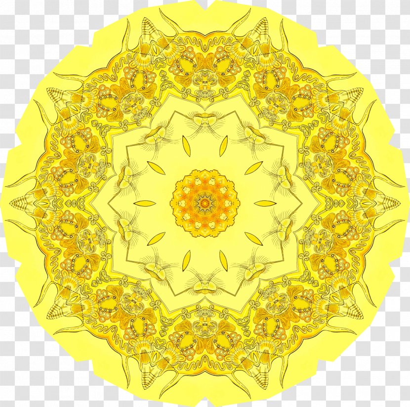 CC0-lisenssi Ornament Floral Design Common Sunflower - Public Domain - Cc0lisenssi Transparent PNG