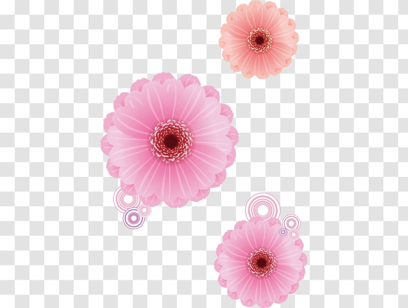 Transvaal Daisy Pink Flower Euclidean Vector Rose Transparent PNG