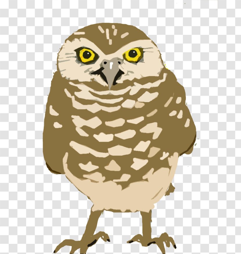 Burrowing Owl Great Horned Clip Art - Animal Transparent PNG
