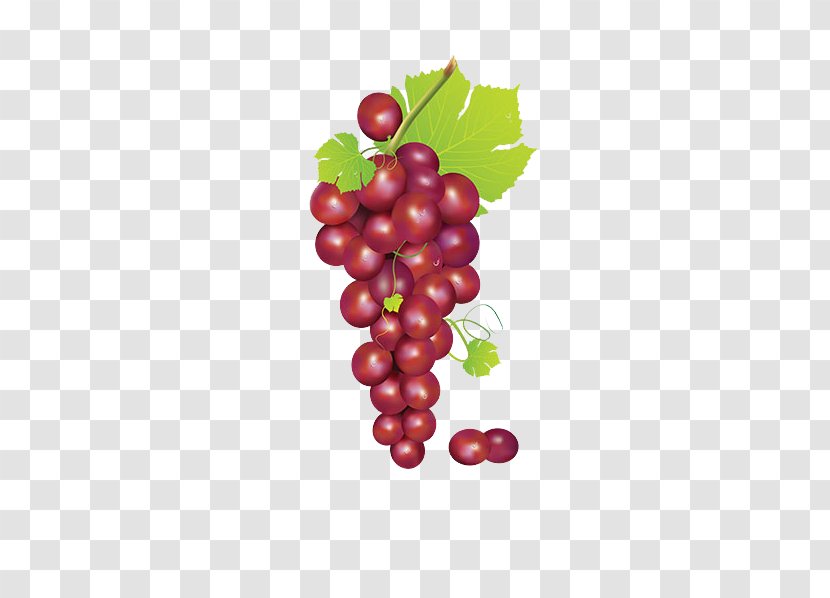 Grape Fruit Clip Art - Vitis - Bunch Of Grapes Transparent PNG