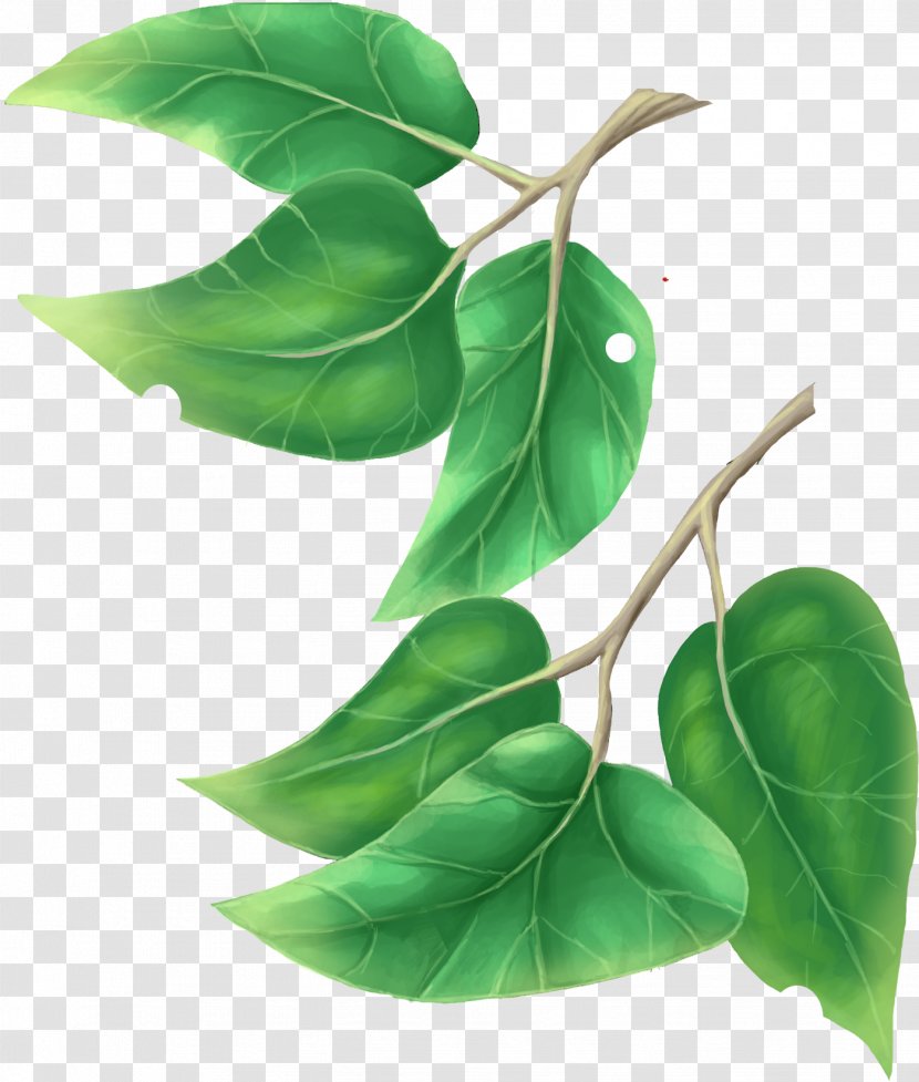 Leaf Tree Plant Clip Art - Green Leaves Transparent PNG