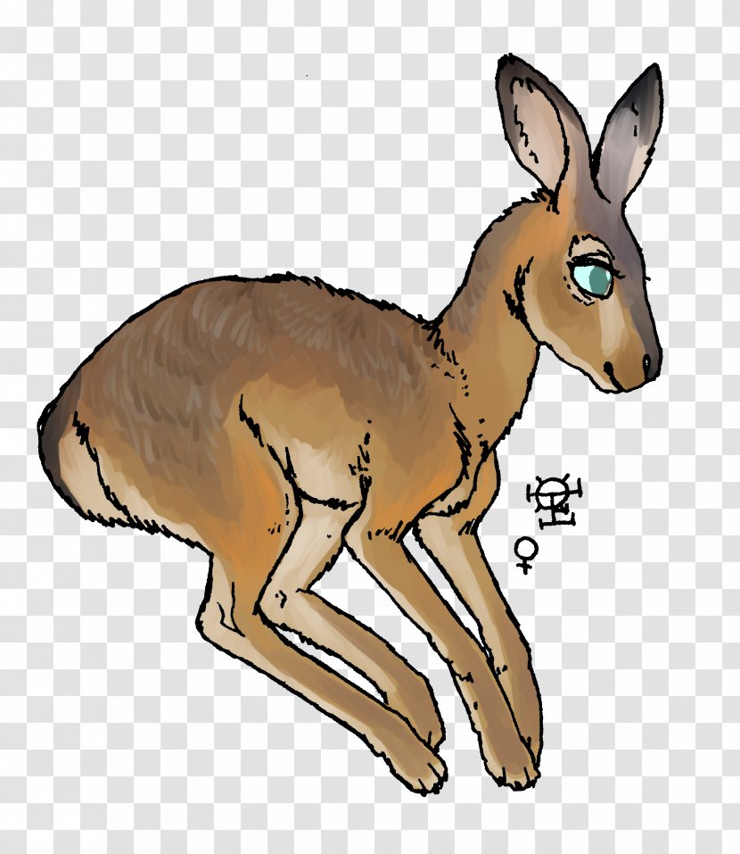 Red Fox Deer Hare Imgur LLC Moschus - Dog Like Mammal - Argus Symbol Transparent PNG