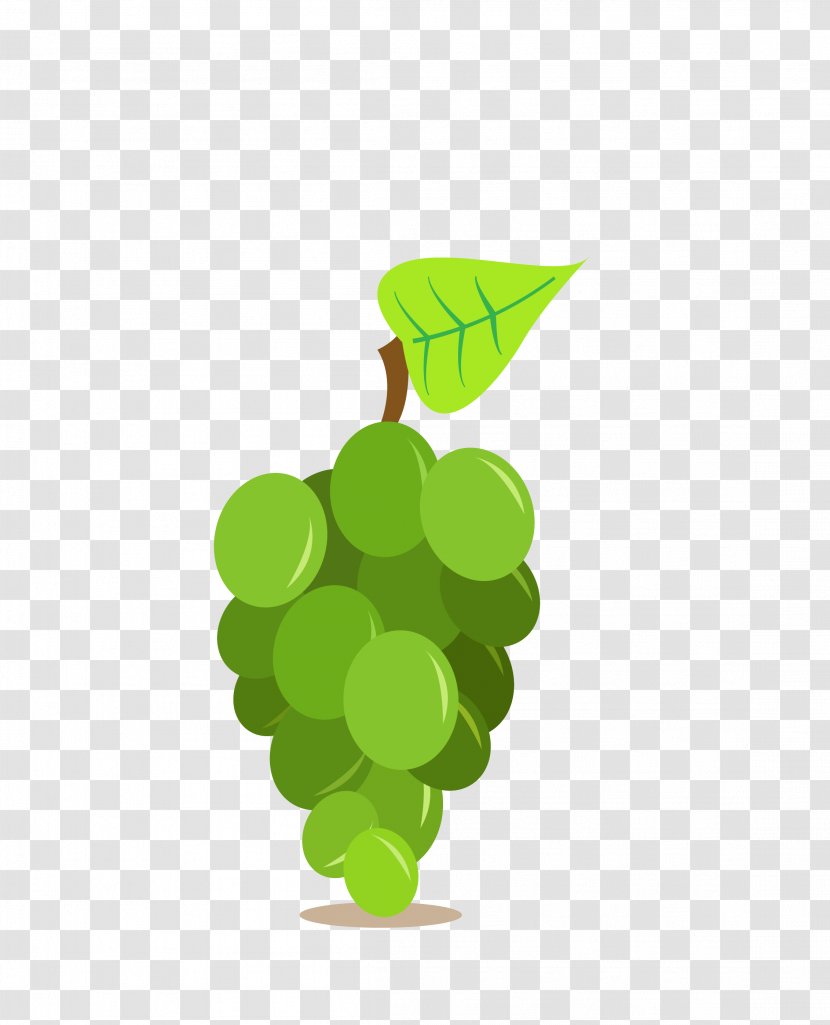 Vinho Verde Red Wine Vin Gris Oak - Vector Green Fruit Grapes Transparent PNG